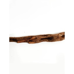 Naturalna liana kręcona 50cm | Liany | Vantis Terra