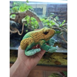 Pluszowa żaba Drzewołaz Beppe 13cm | Gadżety i zabawki | Vantis Terra