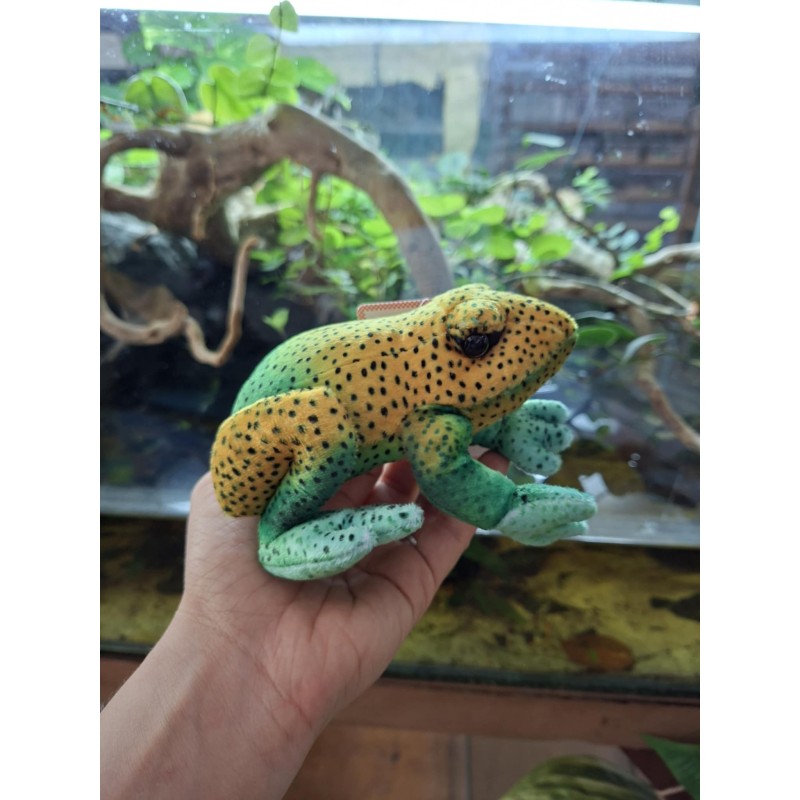 Pluszowa żaba Drzewołaz Beppe 13cm | Gadżety i zabawki | Vantis Terra Pluszowa żaba Drzewołaz Beppe 13cm | Gadżety i zabawki | Vantis Terra
