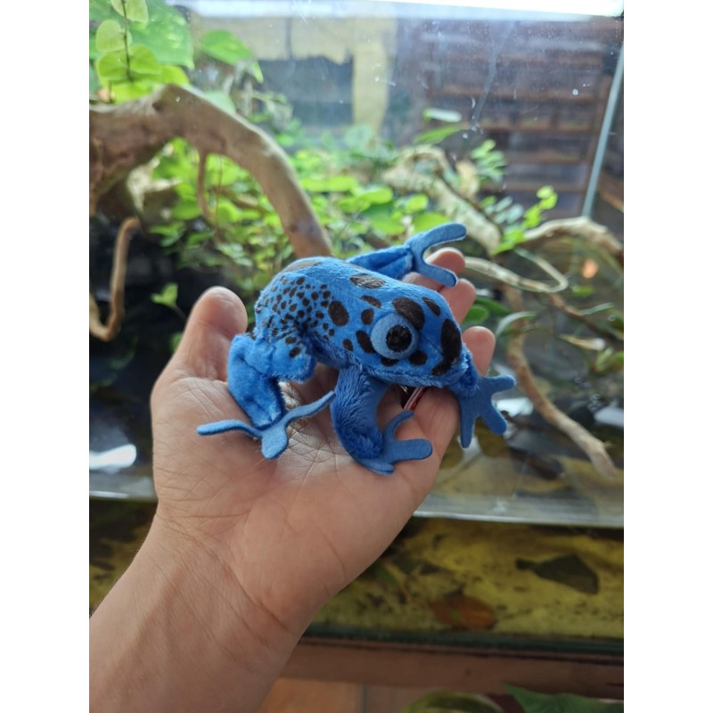 Pluszowa żaba Drzewołaz Beppe 10cm | Gadżety i zabawki | Vantis Terra Pluszowa żaba Drzewołaz Beppe 10cm | Gadżety i zabawki | Vantis Terra