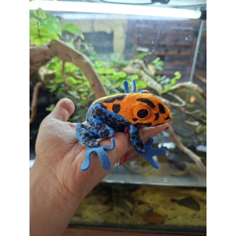 Pluszowa żaba Drzewołaz Beppe 10cm | Gadżety i zabawki | Vantis Terra Pluszowa żaba Drzewołaz Beppe 10cm | Gadżety i zabawki | Vantis Terra