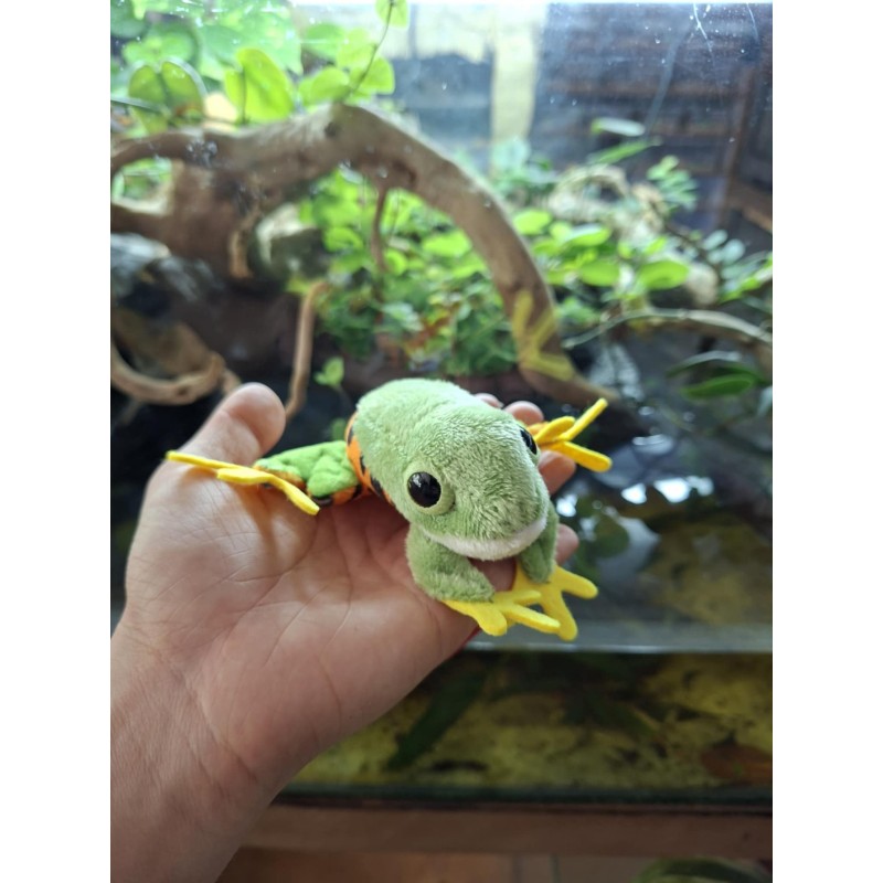 Pluszowa żaba Chwytnica plamobrzucha (Phyllomedusa hypochondrialis) Beppe 10cm | Gadżety i zabawki | Vantis Terra Pluszowa żaba Chwytnica plamobrzucha (Phyllomedusa hypochondrialis) Beppe 10cm | Gadżety i zabawki | Vantis Terra