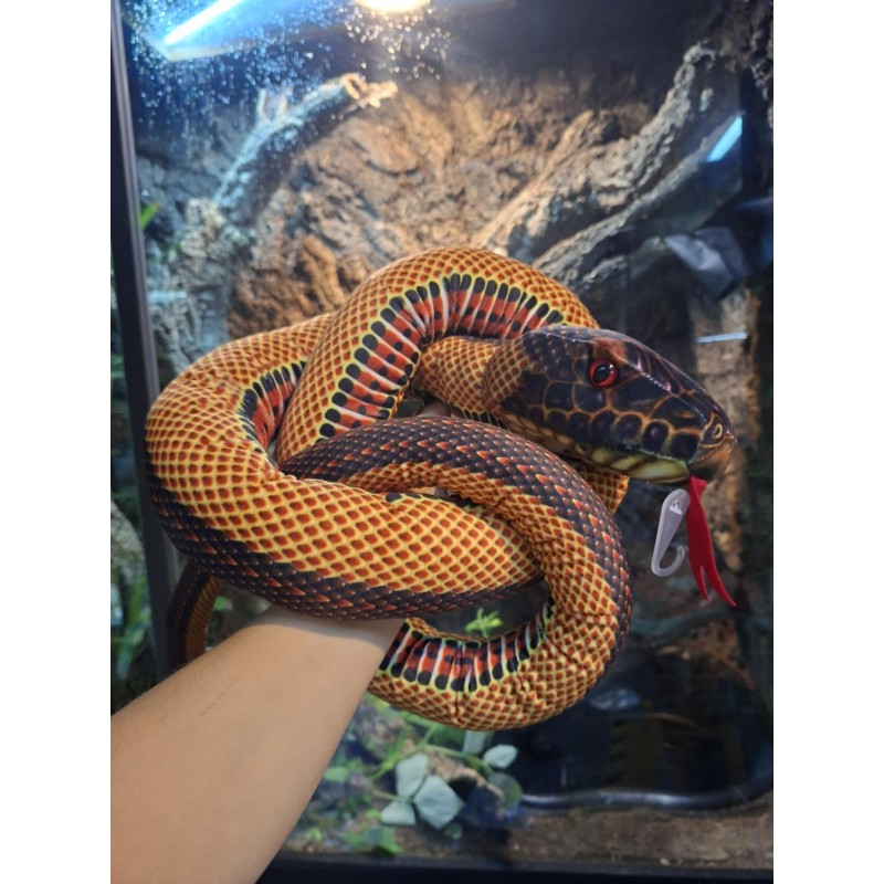 Pluszowy wąż Pyton krwisty Beppe 180cm | Gadżety i zabawki | Vantis Terra Pluszowy wąż Pyton krwisty Beppe 180cm | Gadżety i zabawki | Vantis Terra