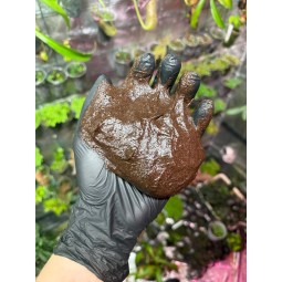 Moss Base Schroomroom 40g | Żywe | Vantis Terra