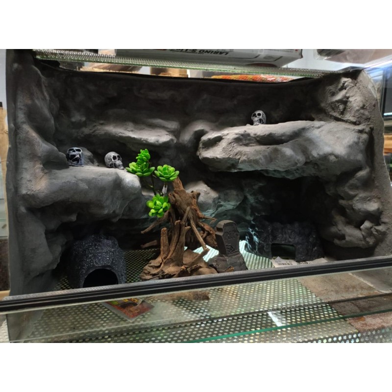 Terrarium z wystrojem na zam&oacute;wienie | Terraria | Vantis Terra