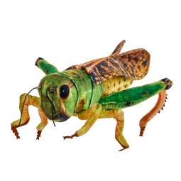 Pluszowy Konik Polny Beppe...