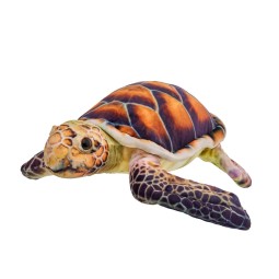 Pluszowy żółw morski...