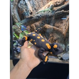 Pluszowa Salamandra plamista Beppe 20cm | Gadżety i zabawki | Vantis Terra