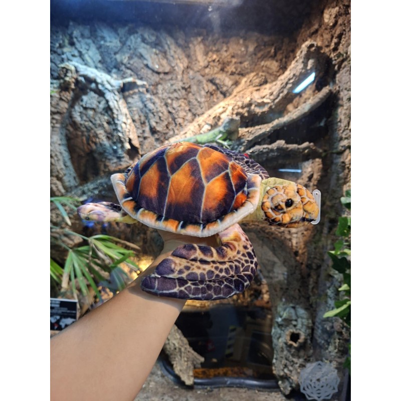 Pluszowy ż&oacute;łw morski brązowy Beppe 38cm | Gadżety i zabawki | Vantis Terra