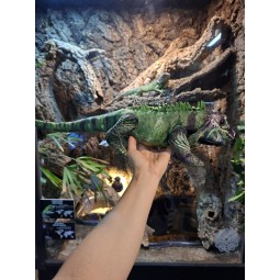 Pluszowa iguana Beppe 61cm | Gadżety i zabawki | Vantis Terra