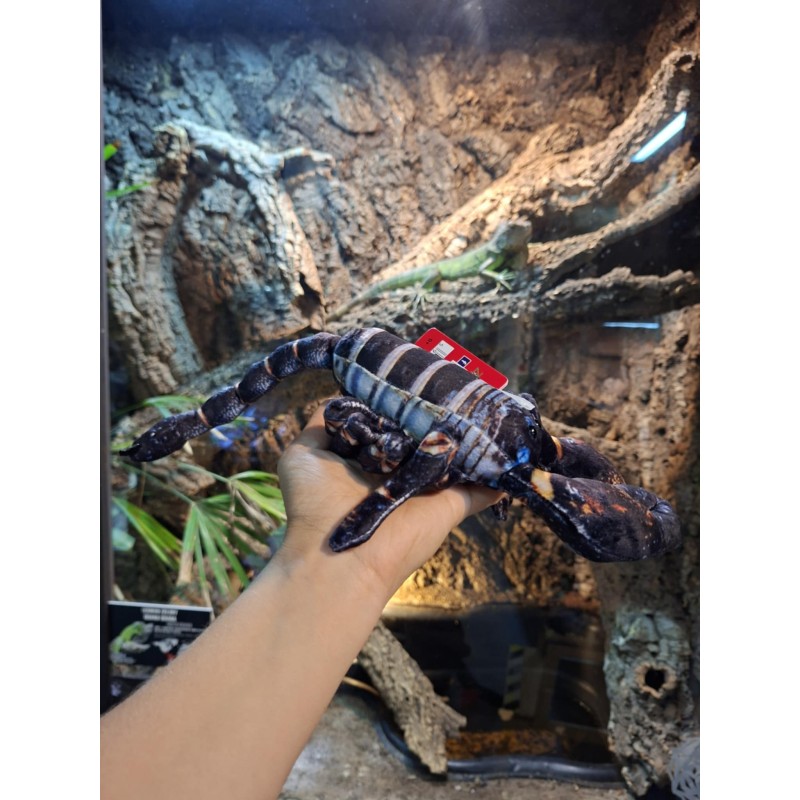 Pluszowy skorpion czarny Beppe 38cm | Gadżety i zabawki | Vantis Terra Pluszowy skorpion czarny Beppe 38cm | Gadżety i zabawki | Vantis Terra