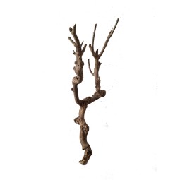 Elementy wystroju | Vantis Terra