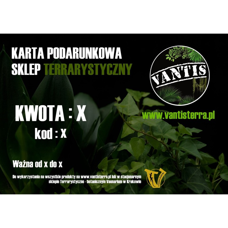 Karta podarunkowa 50zł | Pozostałe | Vantis Terra Karta podarunkowa 50zł | Pozostałe | Vantis Terra