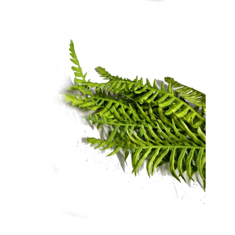 Sztuczna paproć jungle mini | Sztuczne | Vantis Terra Sztuczna paproć jungle mini | Sztuczne | Vantis Terra