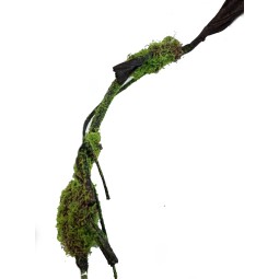 Sztuczna brązowa liana...