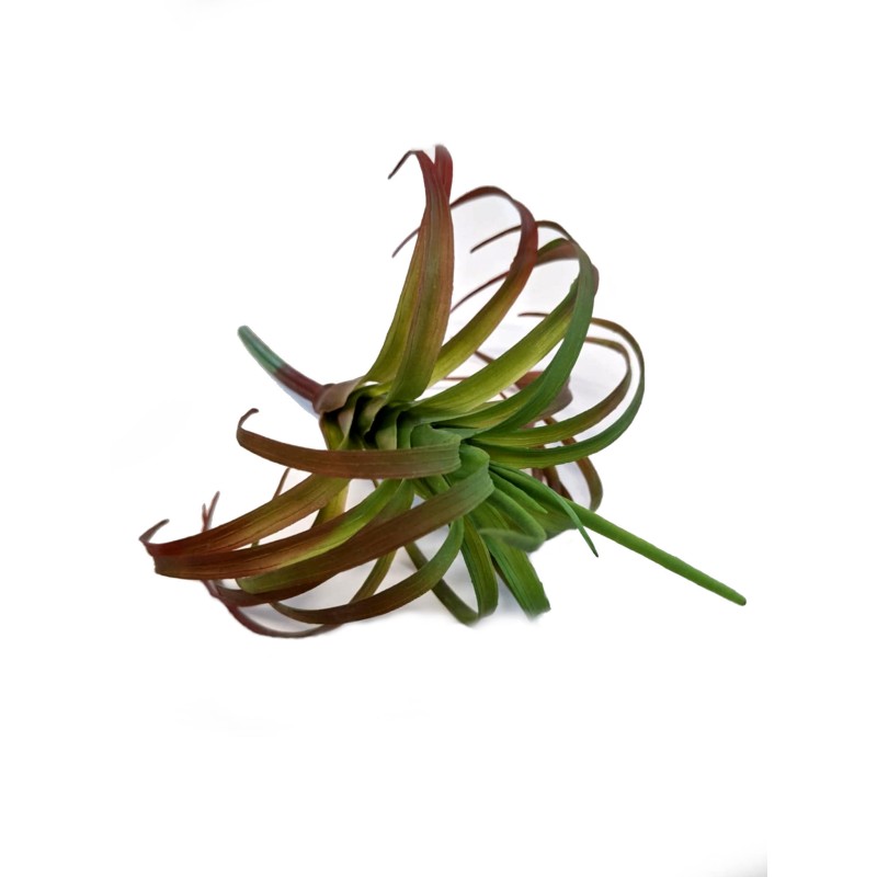 Tillandsia sztuczna S | Sztuczne | Vantis Terra