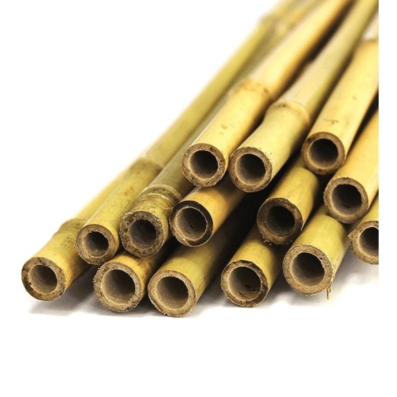 Bambus ⌀4-5cm 50cm | Dekoracje | Vantis Terra