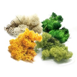 Dekoracje | Vantis Terra