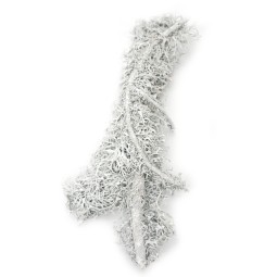 Gałązka porost lichen 60g | Strona główna | Vantis Terra