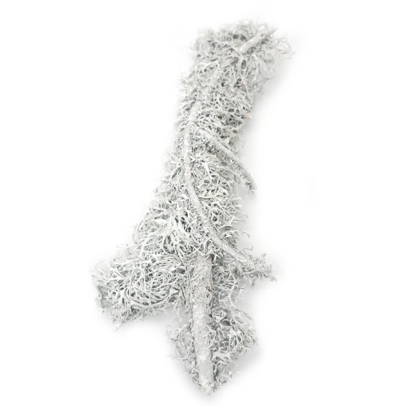 Gałązka porost lichen 60g | Dekoracje | Vantis Terra