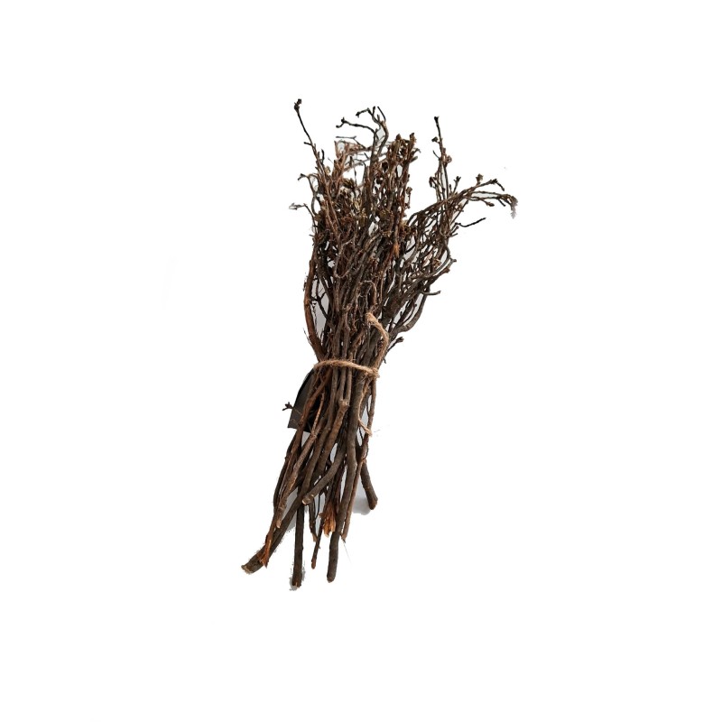 Krzaczki pęczek 40g | Gałęzie | Vantis Terra