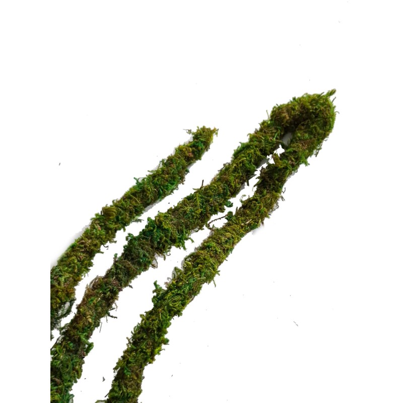 Liana z mchem zielonym 205cm | Sztuczne | Vantis Terra
