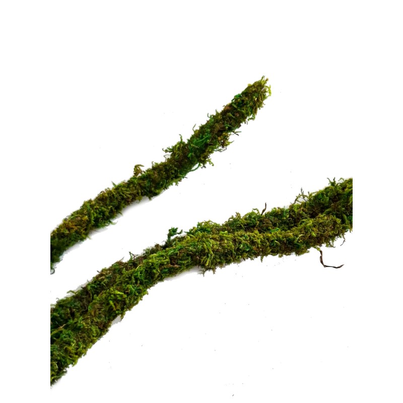 Liana z mchem zielonym 205cm | Sztuczne | Vantis Terra Liana z mchem zielonym 205cm | Sztuczne | Vantis Terra