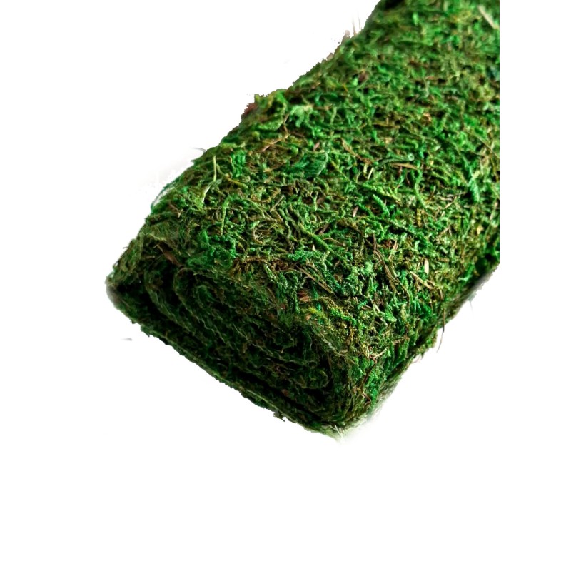 Mata z mchu zielonego 120x36cm | Tło | Vantis Terra