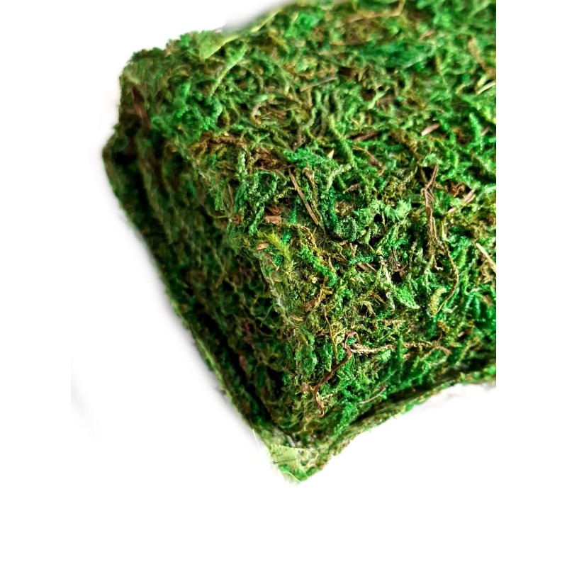 Mata z mchu zielonego 120x36cm | Tło | Vantis Terra