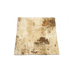 Tło z prasowanej kory brzozy - różne rozmiary | Tło | Vantis Terra