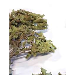 Drzewko suszone bonzai listki | Gałęzie | Vantis Terra