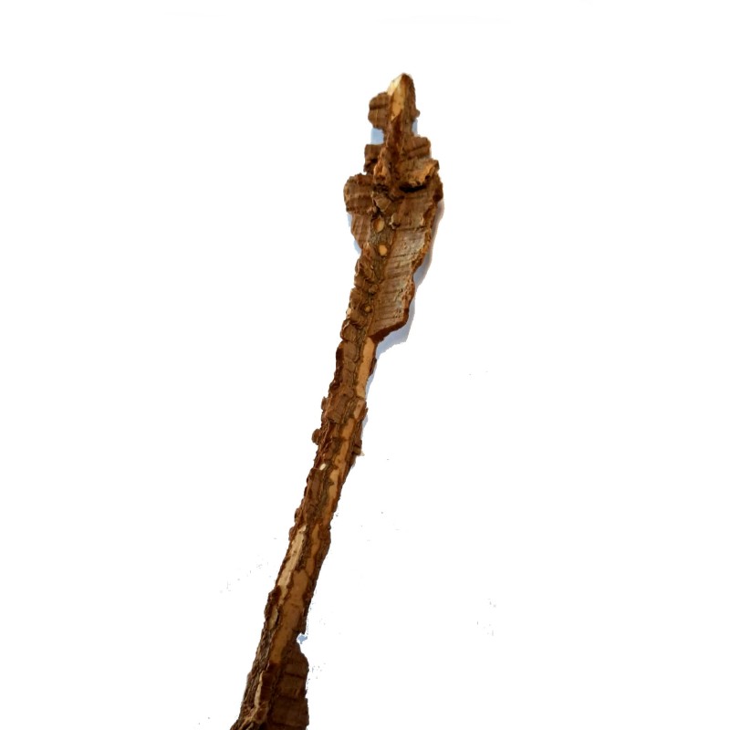 Naturalna liana korkowa 50cm | Liany | Vantis Terra