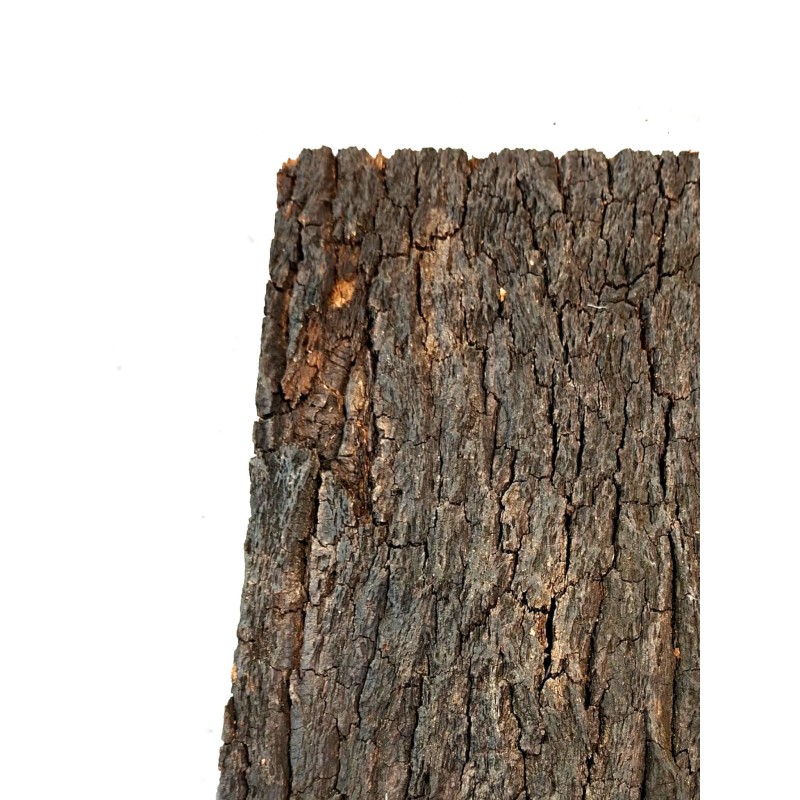 Tło korkowe ciemne 60x30cm | Tło | Vantis Terra Tło korkowe ciemne 60x30cm | Tło | Vantis Terra