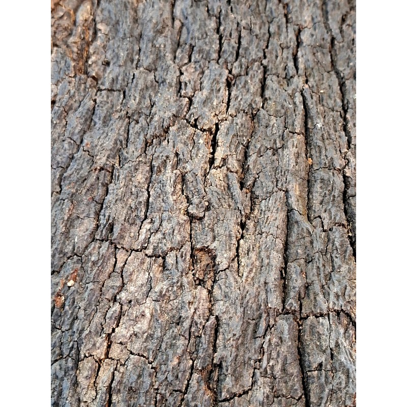 Tło korkowe ciemne 60x30cm | Tło | Vantis Terra