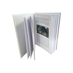 Książka Kraby Wampiry Geosesarma Mariusz Olko | Gadżety i zabawki | Vantis Terra