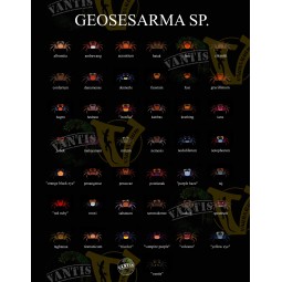 Zwierzęta | Vantis Terra