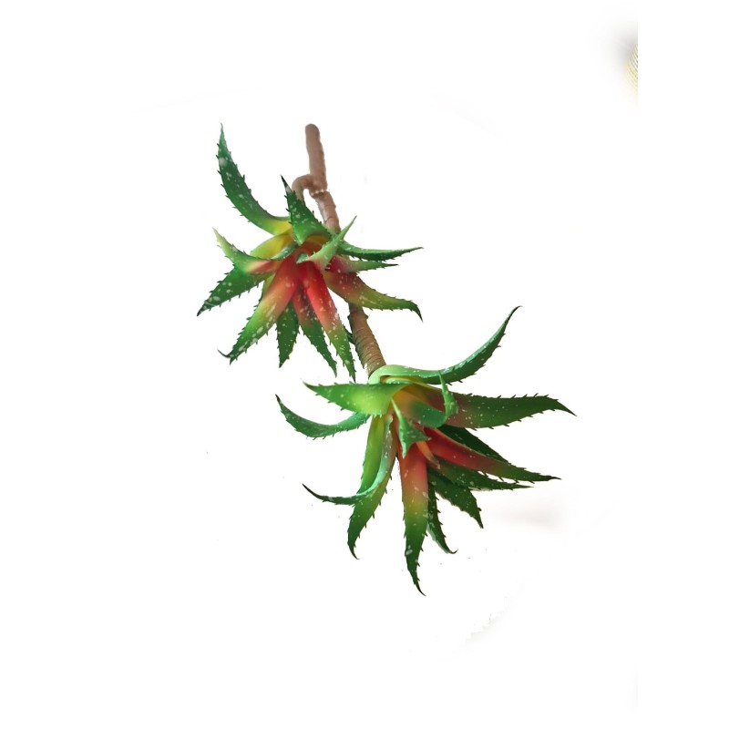 Sukulent na grubej łodydze 20cm | Dekoracje | Vantis Terra