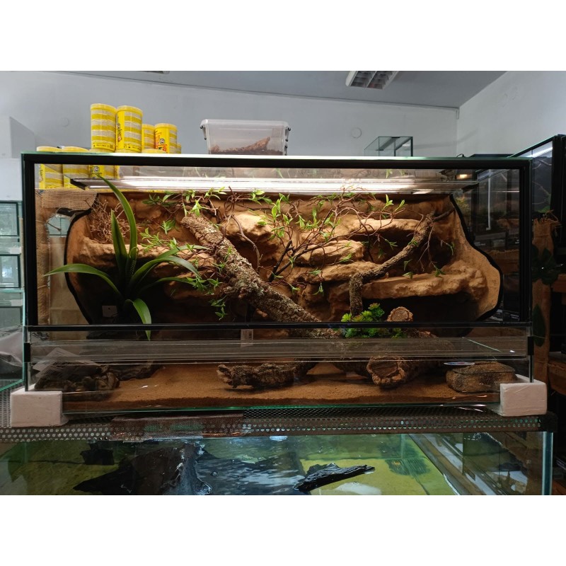 Terrarium z wystrojem na zam&oacute;wienie | Terraria | Vantis Terra