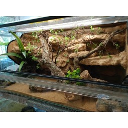 Terrarium z wystrojem na zam&oacute;wienie | Terraria | Vantis Terra