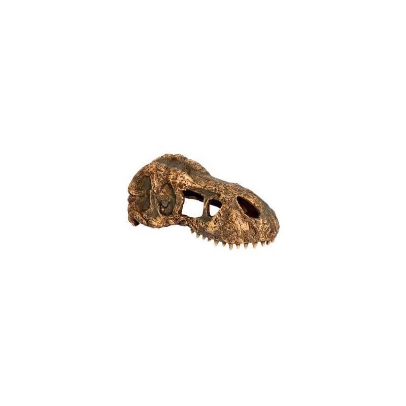 Kryjówka Czaszka dinozaura T-Rex Exo Terra | Czaszki | Vantis Terra Kryjówka Czaszka dinozaura T-Rex Exo Terra | Czaszki | Vantis Terra