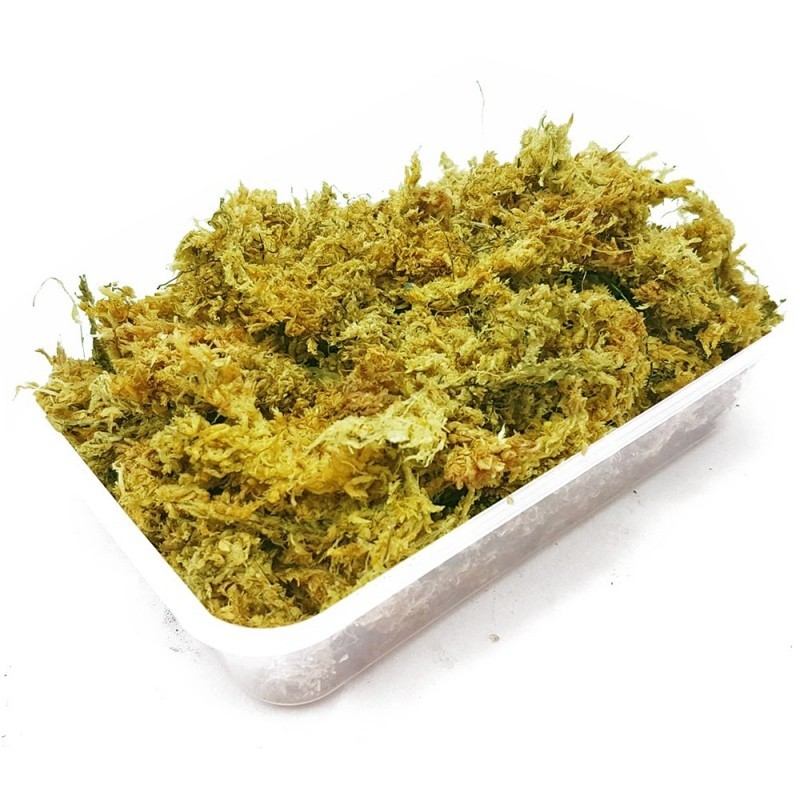 Chile's Repti-Zoo Sphagnum moss - mech torfowiec 4,5l | Mchy i porosty | Vantis Terra