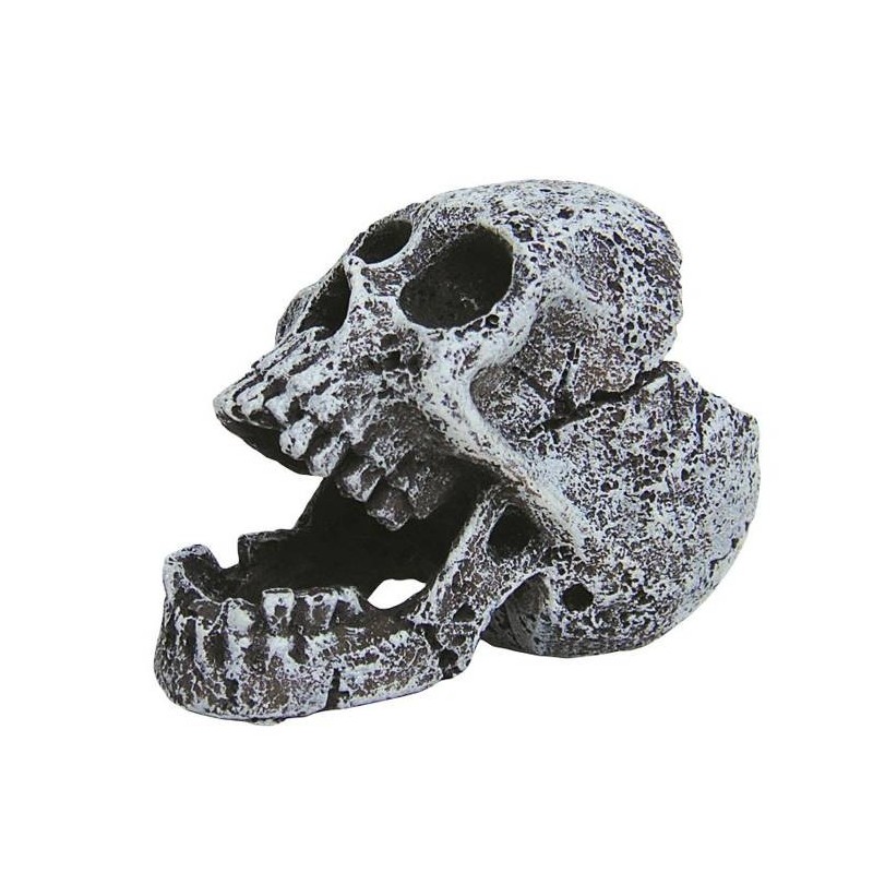 Czaszka figurka otwarta szczęka HapPet 5,5cm | Czaszki | Vantis Terra Czaszka figurka otwarta szczęka HapPet 5,5cm | Czaszki | Vantis Terra