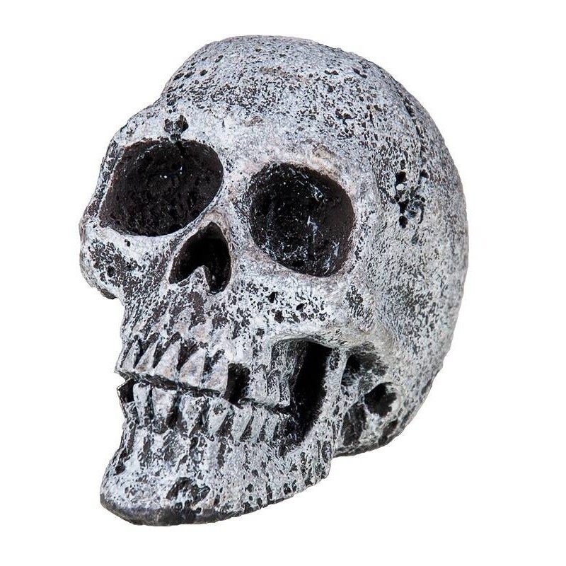 Czaszka figurka HapPet 5,5cm | Czaszki | Vantis Terra Czaszka figurka HapPet 5,5cm | Czaszki | Vantis Terra