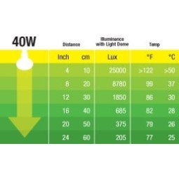 Żarówka Exo Terra Daytime heat 40w | Żarówki, Świetlówki, Ledy | Vantis Terra