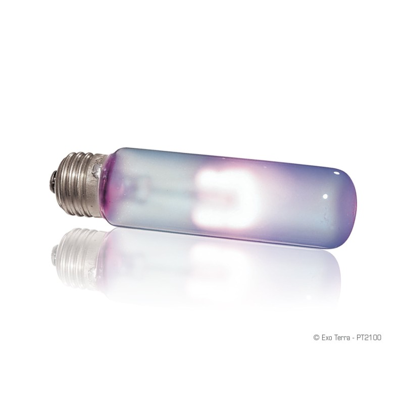 Żarówka Exo Terra daytime heat | Żarówki, Świetlówki, Ledy | Vantis Terra Żarówka Exo Terra daytime heat | Żarówki, Świetlówki, Ledy | Vantis Terra