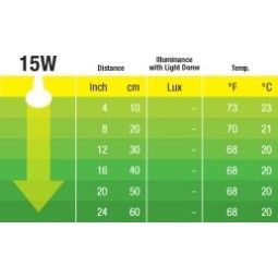 Żarówka nocna Exo Terra Night heat | Żarówki, Świetlówki, Ledy | Vantis Terra