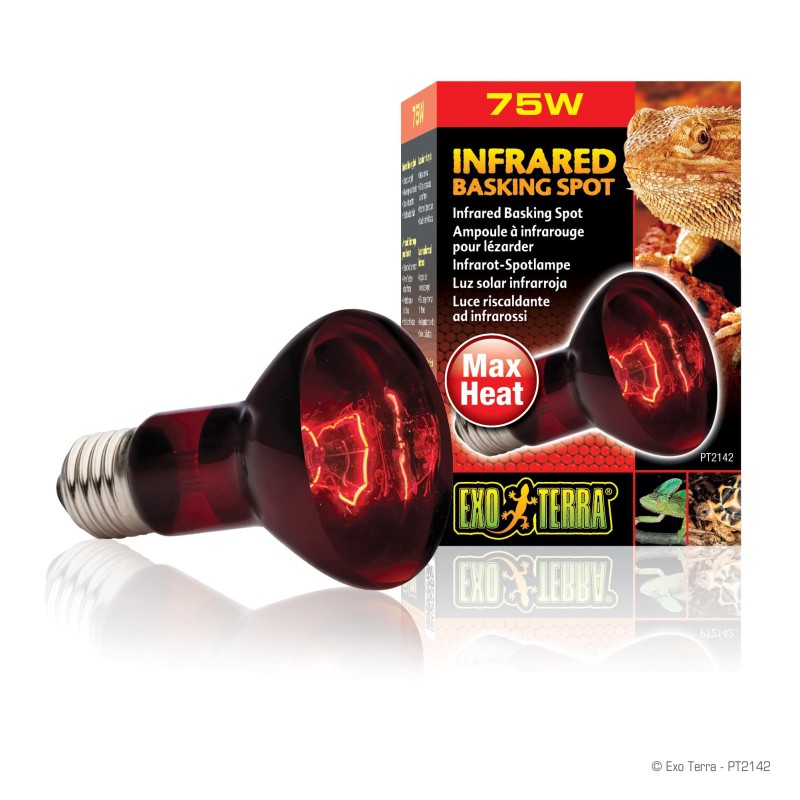 Żarówka grzewcza Exo Terra Infrared basking spot 75w | Żarówki, Świetlówki, Ledy | Vantis Terra