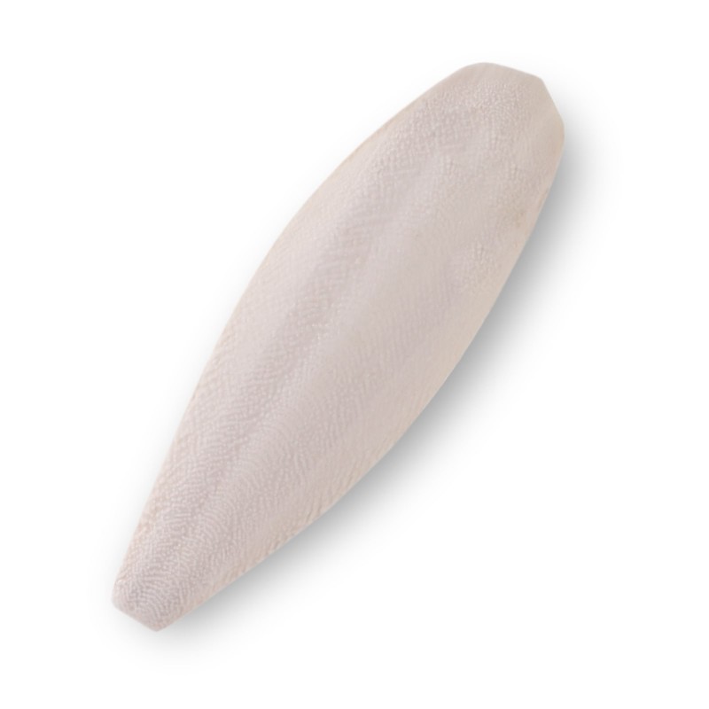 Sepia ok 15-20cm | Suplementy i witaminy | Vantis Terra