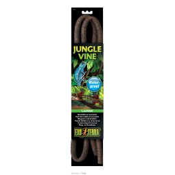 Liana Exo Terra jungle vine