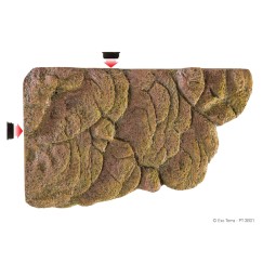 Wyspa dla żółwia Exo terra M -  29,8 x 17,8 x 5,4 cm | Ozdoby i inne | Vantis Terra